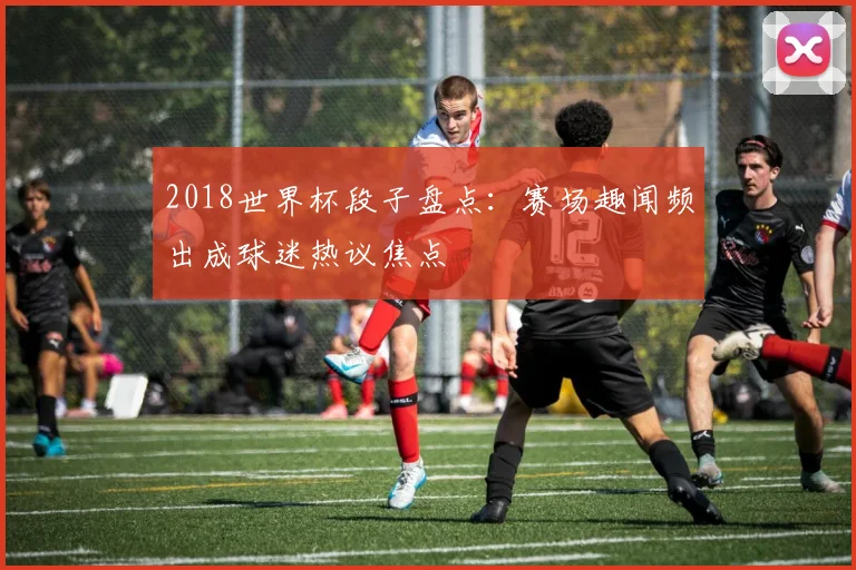 2018世界杯段子盘点：赛场趣闻频出成球迷热议焦点