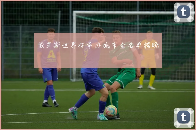 俄罗斯世界杯举办城市全名单揭晓