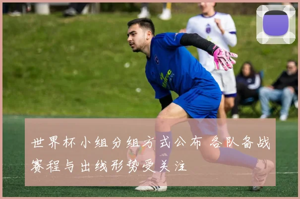 世界杯小组分组方式公布 各队备战赛程与出线形势受关注